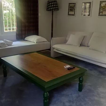 Kifissia 50's Designer House * アテネ